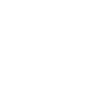 The Prince's Trust